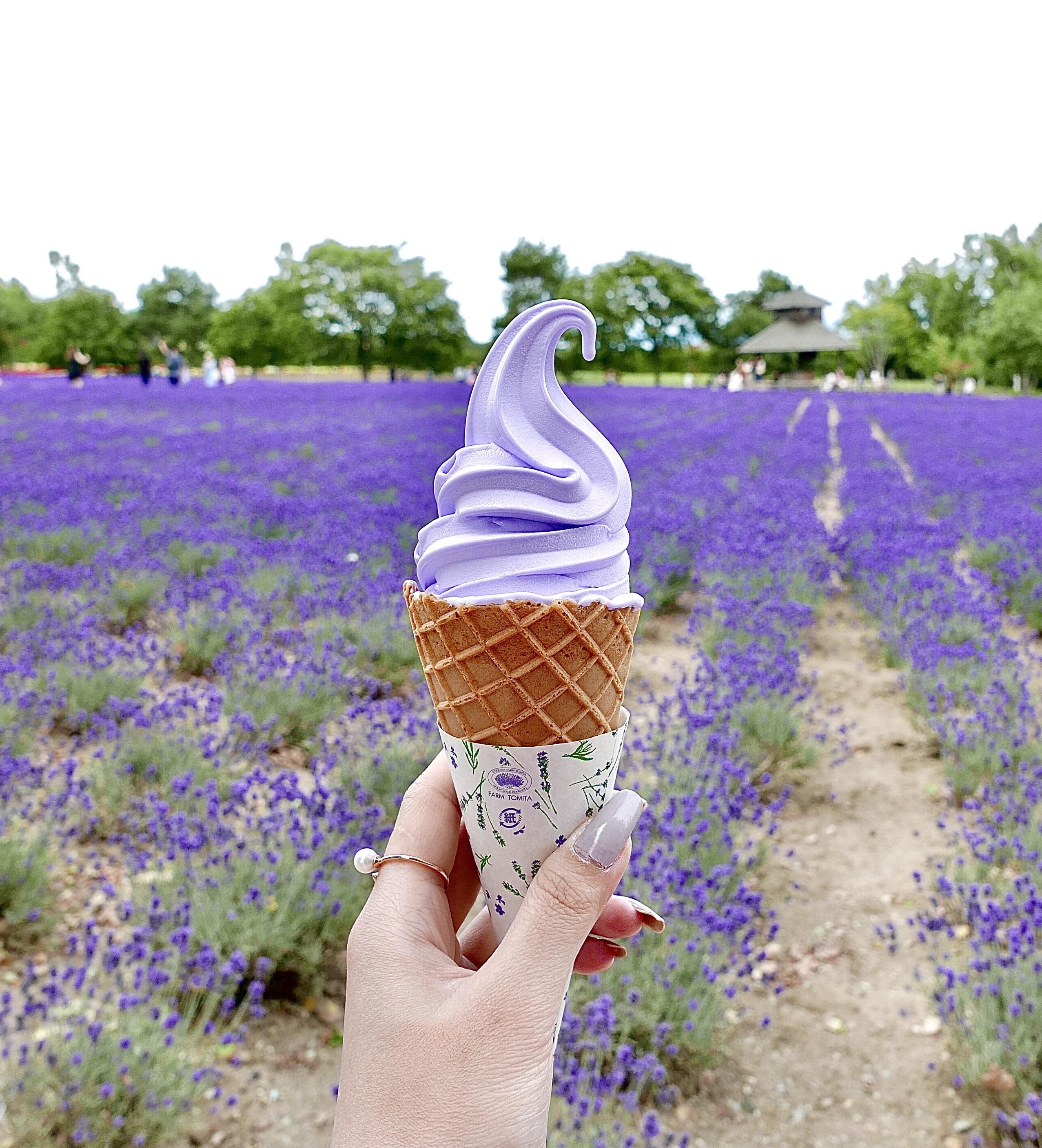 🍓 사노 관광농원 아그리타운(사노 칸코노엔 아그리타운) 이미지 7